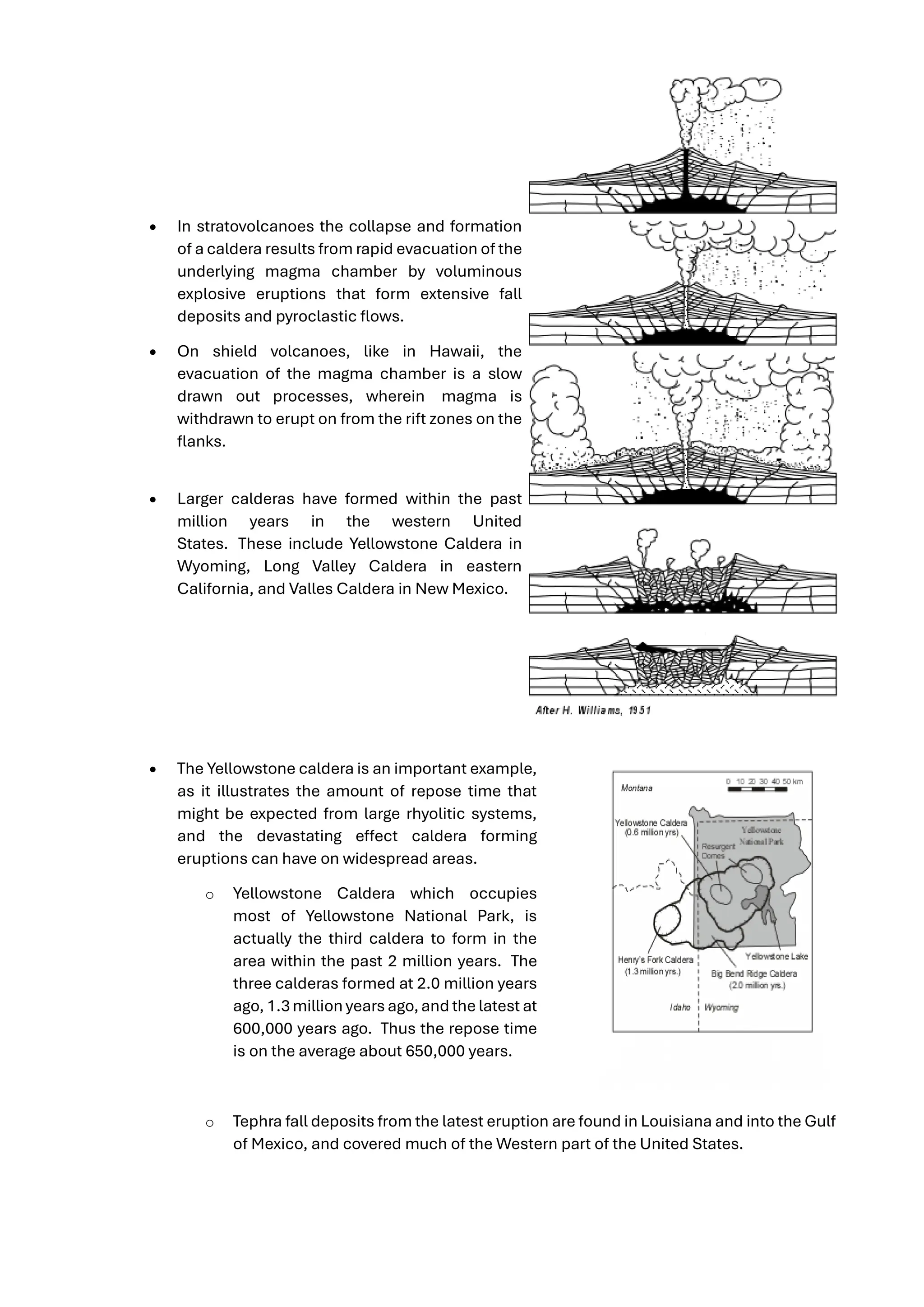 • In stratovolcanoes the collapse and formation
of a caldera results from rapid evacuation of the
underlying magma chamber by voluminous
explosive eruptions that form extensive fall
deposits and pyroclastic flows.
• On shield volcanoes, like in Hawaii, the
evacuation of the magma chamber is a slow
drawn out processes, wherein magma is
withdrawn to erupt on from the rift zones on the
flanks.
• Larger calderas have formed within the past
million years in the western United
States. These include Yellowstone Caldera in
Wyoming, Long Valley Caldera in eastern
California, and Valles Caldera in New Mexico.
• The Yellowstone caldera is an important example,
as it illustrates the amount of repose time that
might be expected from large rhyolitic systems,
and the devastating effect caldera forming
eruptions can have on widespread areas.
o Yellowstone Caldera which occupies
most of Yellowstone National Park, is
actually the third caldera to form in the
area within the past 2 million years. The
three calderas formed at 2.0 million years
ago, 1.3 million years ago,and the latest at
600,000 years ago. Thus the repose time
is on the average about 650,000 years.
o Tephra fall deposits from the latest eruption are found in Louisiana and into the Gulf
of Mexico, and covered much of the Western part of the United States.
 