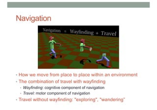 Navigation
• How we move from place to place within an environment
• The combination of travel with wayfinding
• Wayfinding: cognitive component of navigation
• Travel: motor component of navigation
• Travel without wayfinding: "exploring", "wandering”
 