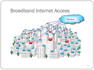 45
Broadband Internet Access
 