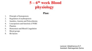 5 – 6th week Blood
physiology
Plan:
1. Principle of hemopoiesis
2. Regulation of erythropoiesis
3. Jaundice, Anemia and Polycythemia
4. Leucopoiesis and functions of WBC
5. Platelets
6. Hemostasis and Blood Coagulation
7. Blood groups
8. Rh factors
Lecturer: Ablaikhanova N.T.
Assistant: Balmaganbet Zarina
 