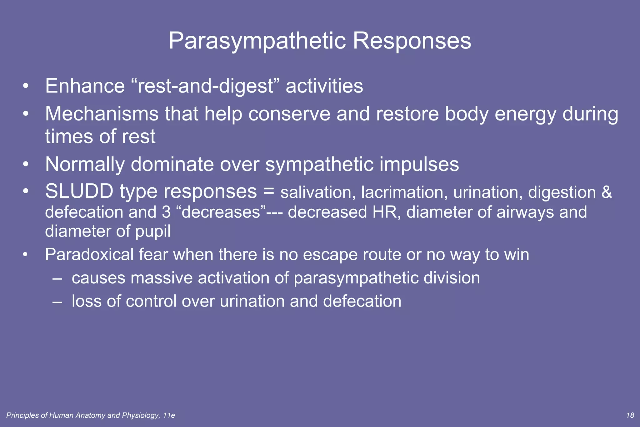 Parasympathetic Responses Enhance “rest-and-digest” activities Mechanisms that help conserve and restore body energy during times of rest Normally dominate over sympathetic impulses SLUDD type responses =  salivation, lacrimation, urination, digestion & defecation and 3 “decreases”--- decreased HR, diameter of airways and diameter of pupil Paradoxical fear when there is no escape route or no way to win causes massive activation of parasympathetic division loss of control over urination and defecation 