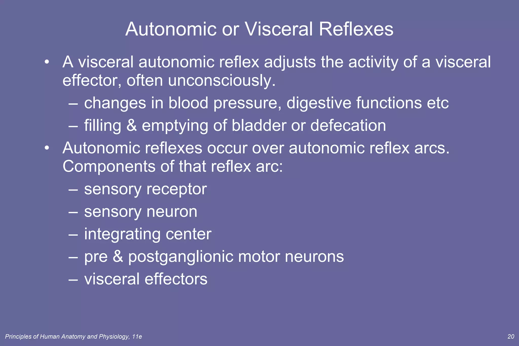 Autonomic or Visceral Reflexes A visceral autonomic reflex adjusts the activity of a visceral effector, often unconsciously. changes in blood pressure, digestive functions etc filling & emptying of bladder or defecation Autonomic reflexes occur over autonomic reflex arcs. Components of that reflex arc: sensory receptor sensory neuron integrating center pre & postganglionic motor neurons visceral effectors 