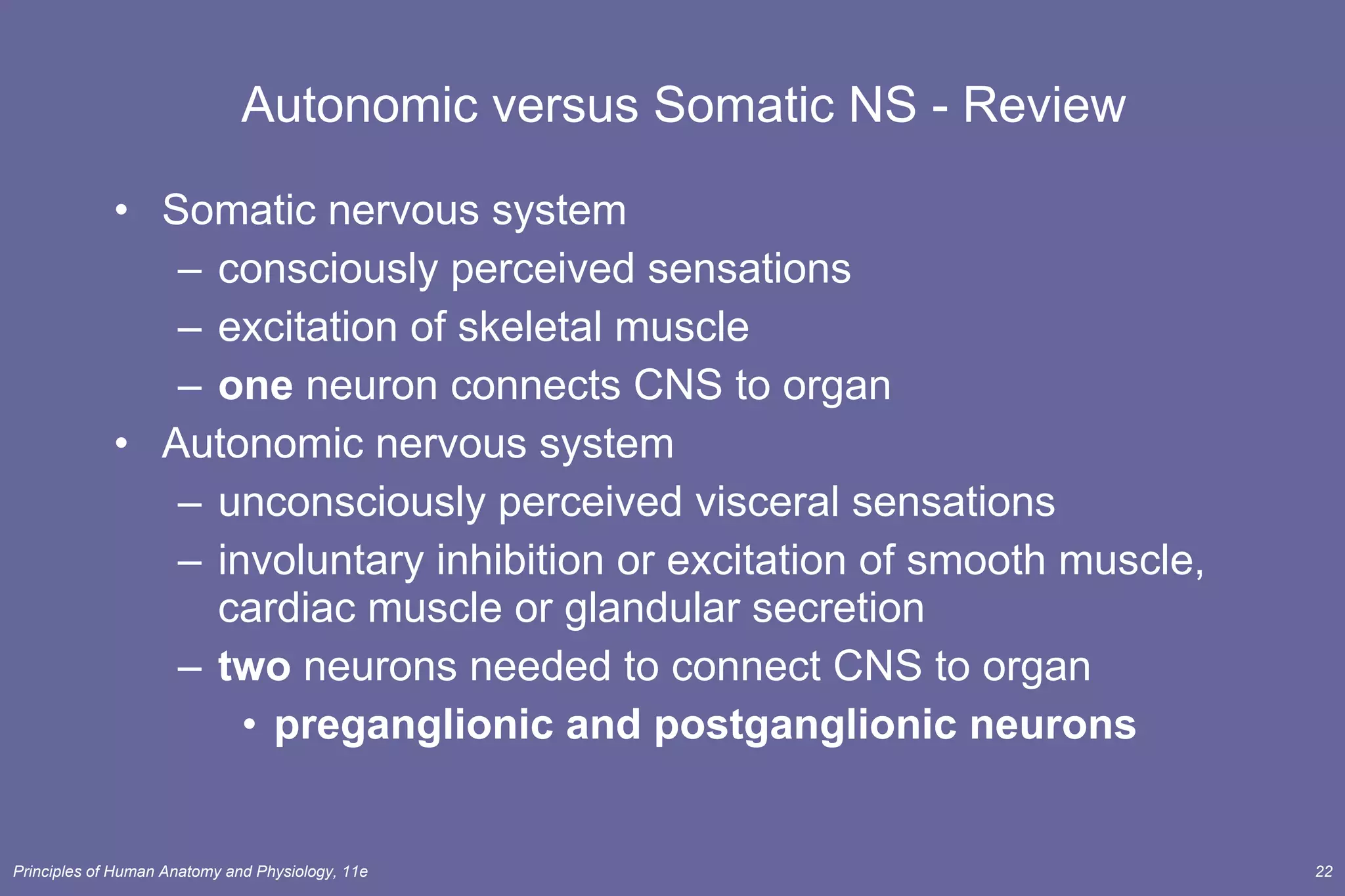 Autonomic versus Somatic NS - Review Somatic nervous system consciously perceived sensations excitation of skeletal muscle one  neuron connects CNS to organ Autonomic nervous system unconsciously perceived visceral sensations  involuntary inhibition or excitation of smooth muscle, cardiac muscle or glandular secretion two  neurons needed to connect CNS to organ preganglionic and postganglionic neurons 