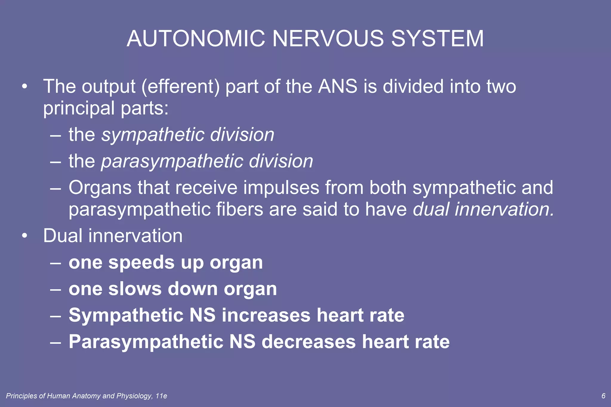 AUTONOMIC NERVOUS SYSTEM The output (efferent) part of the ANS is divided into two principal parts:  the  sympathetic division the  parasympathetic division Organs that receive impulses from both sympathetic and parasympathetic fibers are said to have  dual innervation. Dual innervation one speeds up organ one slows down organ Sympathetic NS increases heart rate Parasympathetic NS decreases heart rate 