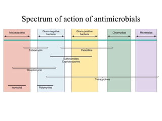 Spectrum of action of antimicrobials
 