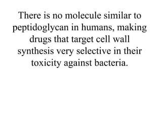 There is no molecule similar to
peptidoglycan in humans, making
drugs that target cell wall
synthesis very selective in their
toxicity against bacteria.
 