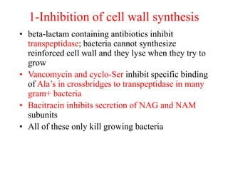 1-Inhibition of cell wall synthesis
• beta-lactam containing antibiotics inhibit
transpeptidase; bacteria cannot synthesize
reinforced cell wall and they lyse when they try to
grow
• Vancomycin and cyclo-Ser inhibit specific binding
of Ala’s in crossbridges to transpeptidase in many
gram+ bacteria
• Bacitracin inhibits secretion of NAG and NAM
subunits
• All of these only kill growing bacteria
 