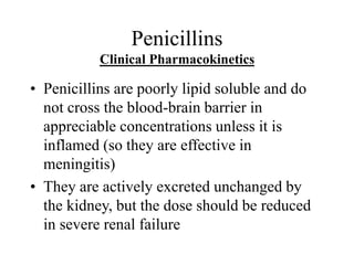 Penicillins
Clinical Pharmacokinetics
• Penicillins are poorly lipid soluble and do
not cross the blood-brain barrier in
appreciable concentrations unless it is
inflamed (so they are effective in
meningitis)
• They are actively excreted unchanged by
the kidney, but the dose should be reduced
in severe renal failure
 