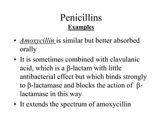 Penicillins
Examples
• Amoxycillin is similar but better absorbed
orally
• It is sometimes combined with clavulanic
acid, which is a b-lactam with little
antibacterial effect but which binds strongly
to b-lactamase and blocks the action of b-
lactamase in this way
• It extends the spectrum of amoxycillin
 