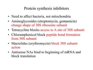 Protein synthesis inhibitors
• Need to affect bacteria, not mitochondria
• Aminoglycosides (streptomycin, gentamicin)
change shape of 30S ribosome subunit
• Tetracycline blocks access to A site of 30S subunit
• Chloramphenicol block peptide bond formation
from 50S subunit
• Macrolides (erythromycin) block 50S subunit
action
• Antisense NAs bind to beginning of mRNA and
block translation
 