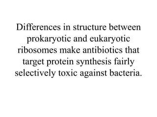 Differences in structure between
prokaryotic and eukaryotic
ribosomes make antibiotics that
target protein synthesis fairly
selectively toxic against bacteria.
 