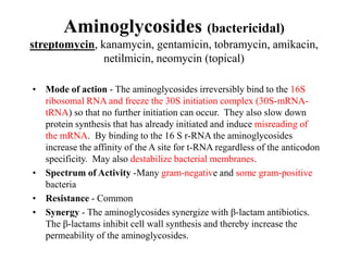 Aminoglycosides (bactericidal)
streptomycin, kanamycin, gentamicin, tobramycin, amikacin,
netilmicin, neomycin (topical)
• Mode of action - The aminoglycosides irreversibly bind to the 16S
ribosomal RNA and freeze the 30S initiation complex (30S-mRNA-
tRNA) so that no further initiation can occur. They also slow down
protein synthesis that has already initiated and induce misreading of
the mRNA. By binding to the 16 S r-RNA the aminoglycosides
increase the affinity of the A site for t-RNA regardless of the anticodon
specificity. May also destabilize bacterial membranes.
• Spectrum of Activity -Many gram-negative and some gram-positive
bacteria
• Resistance - Common
• Synergy - The aminoglycosides synergize with β-lactam antibiotics.
The β-lactams inhibit cell wall synthesis and thereby increase the
permeability of the aminoglycosides.
 