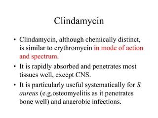 Clindamycin
• Clindamycin, although chemically distinct,
is similar to erythromycin in mode of action
and spectrum.
• It is rapidly absorbed and penetrates most
tissues well, except CNS.
• It is particularly useful systematically for S.
aureus (e.g.osteomyelitis as it penetrates
bone well) and anaerobic infections.
 