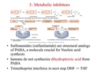 3- Metabolic inhibitors
• Sulfonamides (sulfanilamide) are structural analogs
of PABA, a molecule crucial for Nucleic acid
synthesis
• humans do not synthesize dihydropteroic acid from
PABA
• Trimethoprim interferes in next step DHF -> THF
 