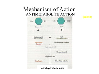 Mechanism of Action
ANTIMETABOLITE ACTION
(cont’d)
tetrahydrofolic acid
 