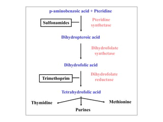 p-aminobenzoic acid + Pteridine
Dihydropteroic acid
Dihydrofolic acid
Tetrahydrofolic acid
Pteridine
synthetase
Dihydrofolate
synthetase
Dihydrofolate
reductase
Thymidine
Purines
Methionine
Trimethoprim
Sulfonamides
 