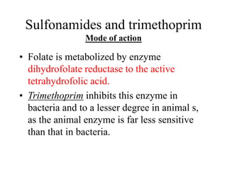 Sulfonamides and trimethoprim
Mode of action
• Folate is metabolized by enzyme
dihydrofolate reductase to the active
tetrahydrofolic acid.
• Trimethoprim inhibits this enzyme in
bacteria and to a lesser degree in animal s,
as the animal enzyme is far less sensitive
than that in bacteria.
 