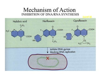 (cont’d)
Mechanism of Action
INHIBITION OF DNA/RNA SYNTHESIS
 