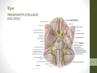 Eye
MISSISSIPPI COLLEGE
Fall 2022
 