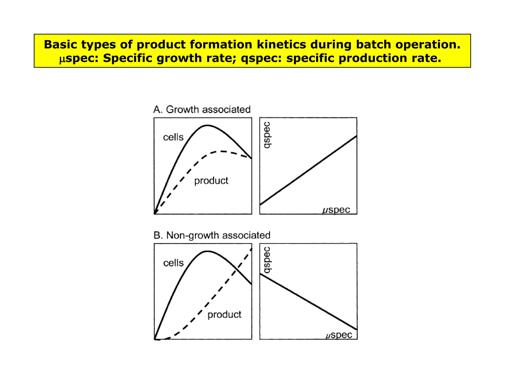 Basic types of product formation kinetics during batch operation. spec: Specific growth rate; qspec: specific production rate.