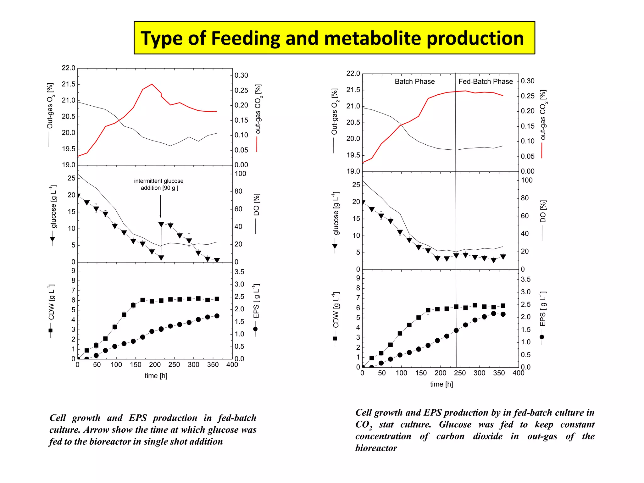 Type of Feeding and metabolite productionCell growth and EPS production by in fed-batch culture in CO2 stat culture. Glucose was fed to keep constant concentration of carbon dioxide in out-gas of the bioreactor Cell growth and EPS production in fed-batch culture. Arrow show the time at which glucose was fed to the bioreactor in single shot addition