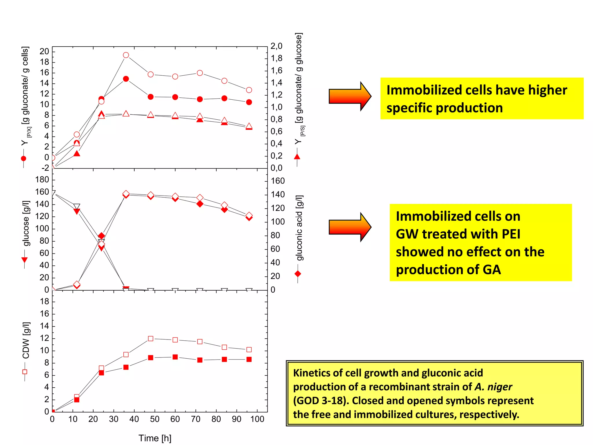 Immobilized cells have higher specific productionImmobilized cells on GW treated with PEI showed no effect on the production of GAKinetics of cell growth and gluconic acid production of a recombinant strain of A. niger(GOD 3-18). Closed and opened symbols represent the free and immobilized cultures, respectively. 