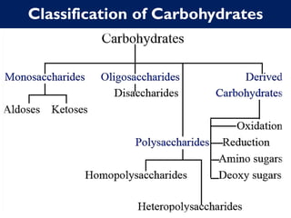 Classification of Carbohydrates
 