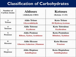 Classification of Carbohydrates
 