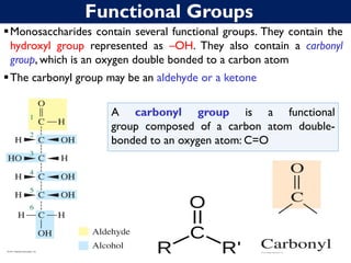 Functional Groups
▪Monosaccharides contain several functional groups. They contain the
hydroxyl group represented as –OH. They also contain a carbonyl
group, which is an oxygen double bonded to a carbon atom
▪The carbonyl group may be an aldehyde or a ketone
A carbonyl group is a functional
group composed of a carbon atom double-
bonded to an oxygen atom: C=O
 