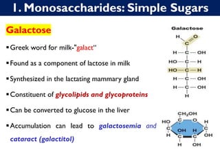 1. Monosaccharides: Simple Sugars
Galactose
▪Greek word for milk-"galact“
▪Found as a component of lactose in milk
▪Synthesized in the lactating mammary gland
▪Constituent of glycolipids and glycoproteins
▪Can be converted to glucose in the liver
▪Accumulation can lead to galactosemia and
cataract (galactitol)
 