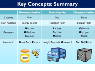 Key Concepts: Summary
 