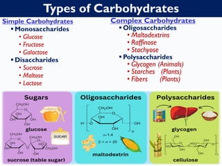 Types of Carbohydrates
Simple Carbohydrates
▪ Monosaccharides
• Glucose
• Fructose
• Galactose
▪ Disaccharides
• Sucrose
• Maltose
• Lactose
Complex Carbohydrates
▪ Oligosaccharides
• Maltodextrins
• Raffinose
• Stachyose
▪ Polysaccharides
• Glycogen (Animals)
• Starches (Plants)
• Fibers (Plants)
 