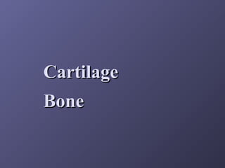 Cartilage
Bone

 