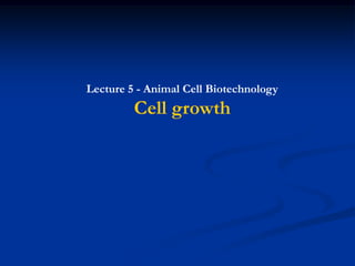 Lecture 5 - Animal Cell Biotechnology
         Cell growth
 