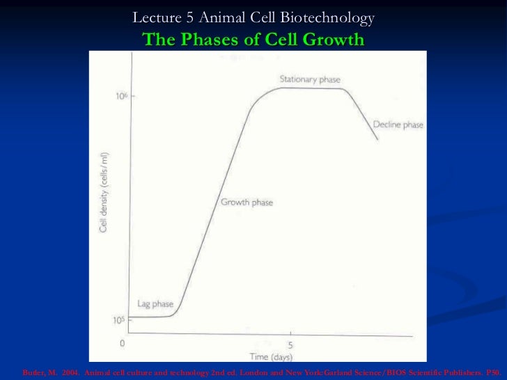 Javier Amayra Biotechnological Screening In Animal Cell Culture