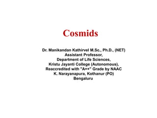 Dr. Manikandan Kathirvel M.Sc., Ph.D., (NET)
Assistant Professor,
Department of Life Sciences,
Kristu Jayanti College (Autonomous),
Reaccredited with "A++" Grade by NAAC
K. Narayanapura, Kothanur (PO)
Bengaluru
Cosmids
 