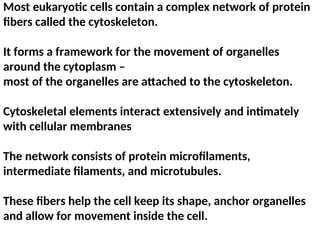 Comprehensive Overview of the Cytoskeleton and Molecular Motors in ...