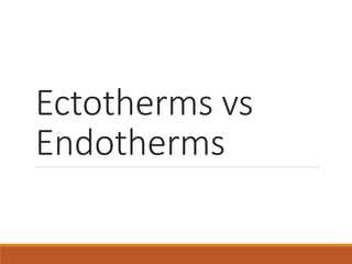 Ectotherms vs
Endotherms
 