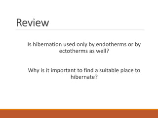 Review
Is hibernation used only by endotherms or by
ectotherms as well?
Why is it important to find a suitable place to
hibernate?
 
