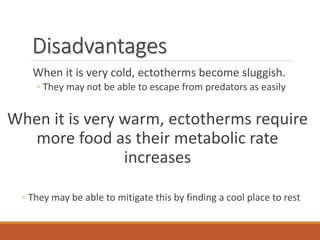 Disadvantages
When it is very cold, ectotherms become sluggish.
◦ They may not be able to escape from predators as easily
When it is very warm, ectotherms require
more food as their metabolic rate
increases
◦ They may be able to mitigate this by finding a cool place to rest
 