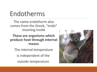 Endotherms
The name endotherm also
comes from the Greek, “endo”
meaning inside
These are organisms which
produce heat through internal
means
The internal temperature
is independent of the
outside temperature
 