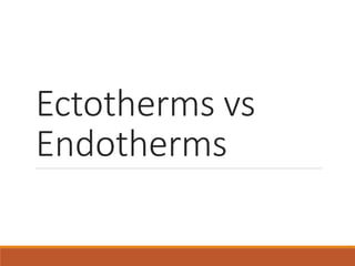 advantages of ectotherms