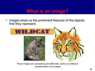What is an image?
   Images show us the prominent features of the objects
    that they represent.




         These images are composed quite differently, each is an effective
                           representation of its subject
                                                                             4
 