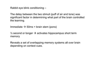 Lecture 5   learning & memory