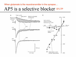 Lecture 5   learning & memory