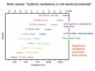 Lecture 5   learning & memory