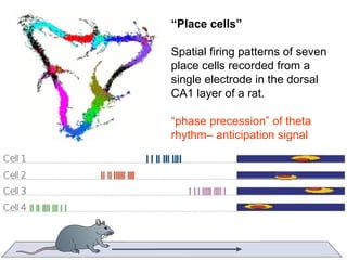 Lecture 5   learning & memory
