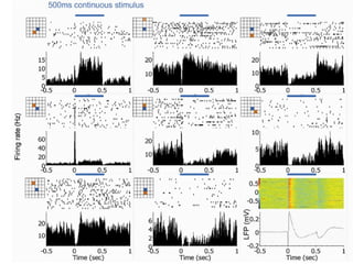 Lecture 5   learning & memory