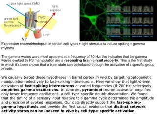 Lecture 5   learning & memory