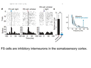 Lecture 5   learning & memory